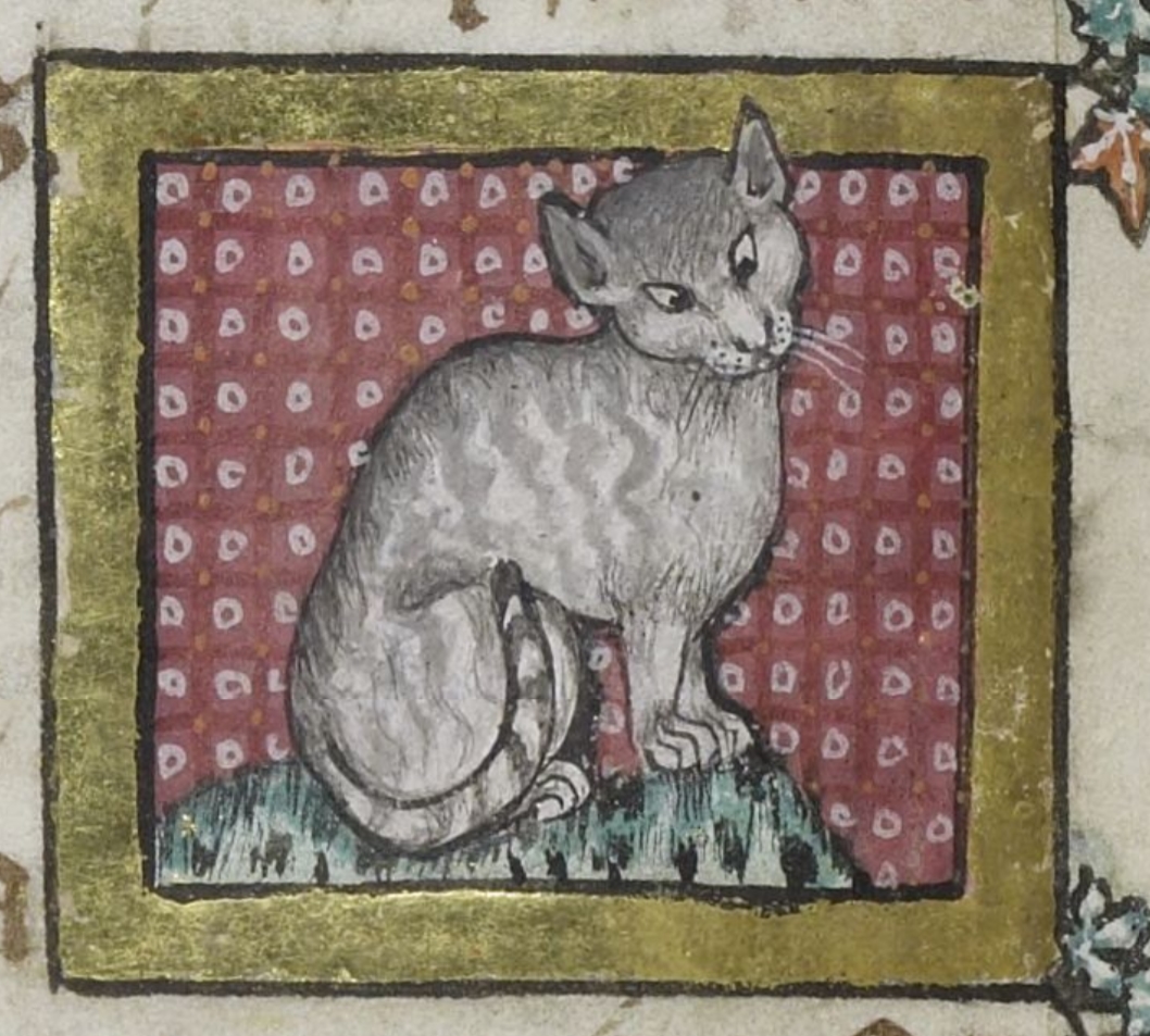A manuscript page featuring a gray tabby cat, awkwardly drawn, with ears too large