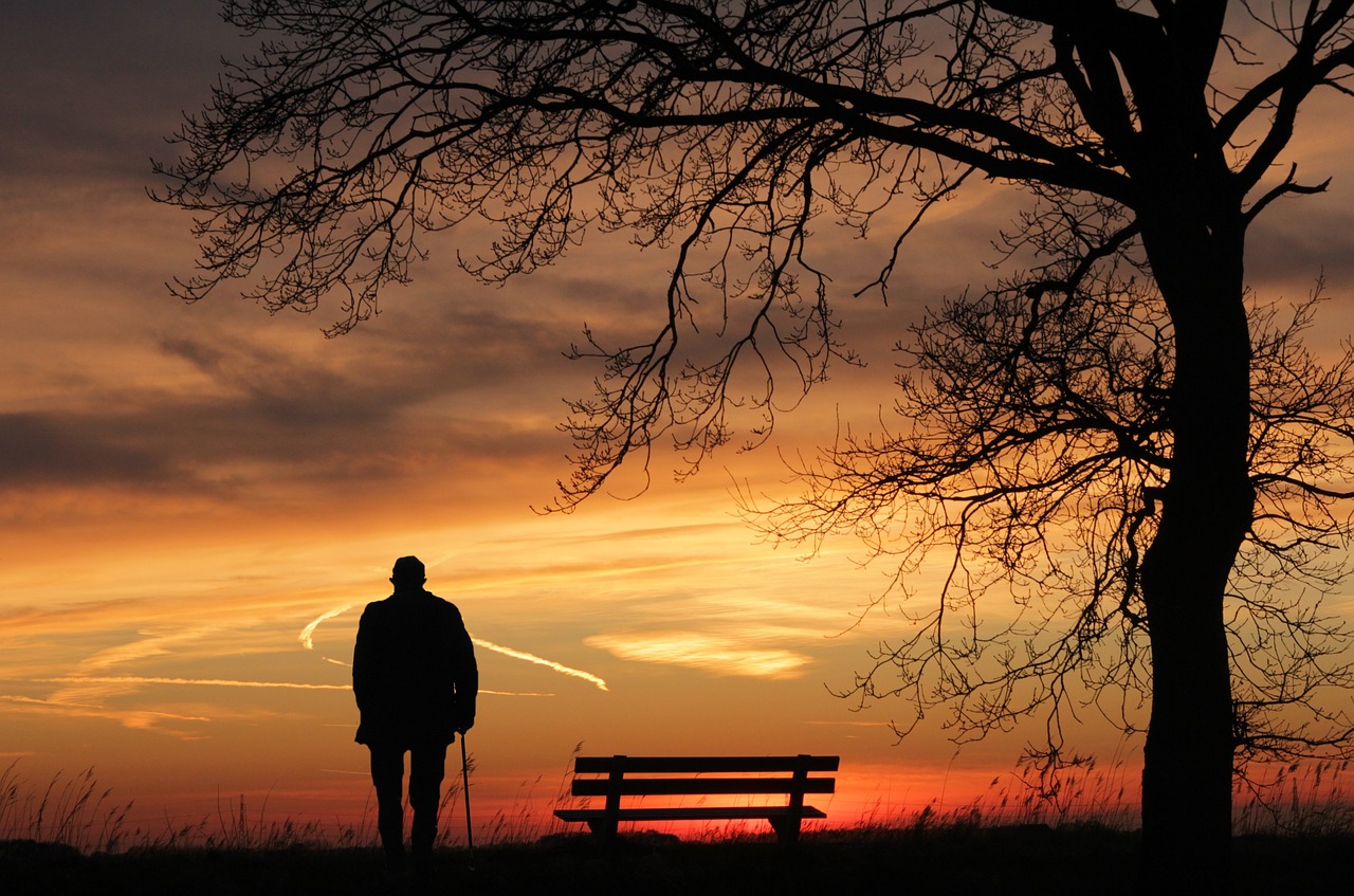 An orange sunset picture shows a single tree next to a park bench, next to a single person all in silhouette. 